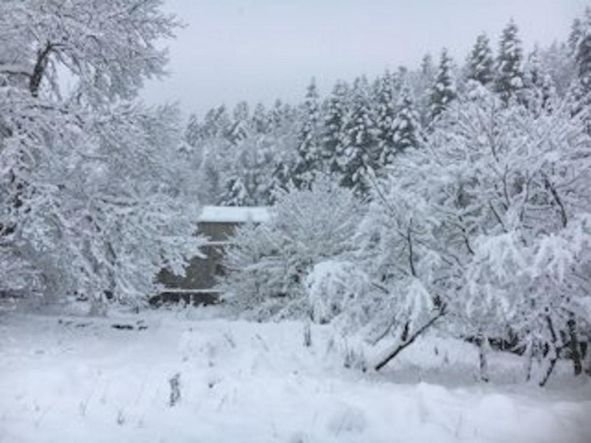 Maison En Ardeche Usclades-et-Rieutord المظهر الخارجي الصورة